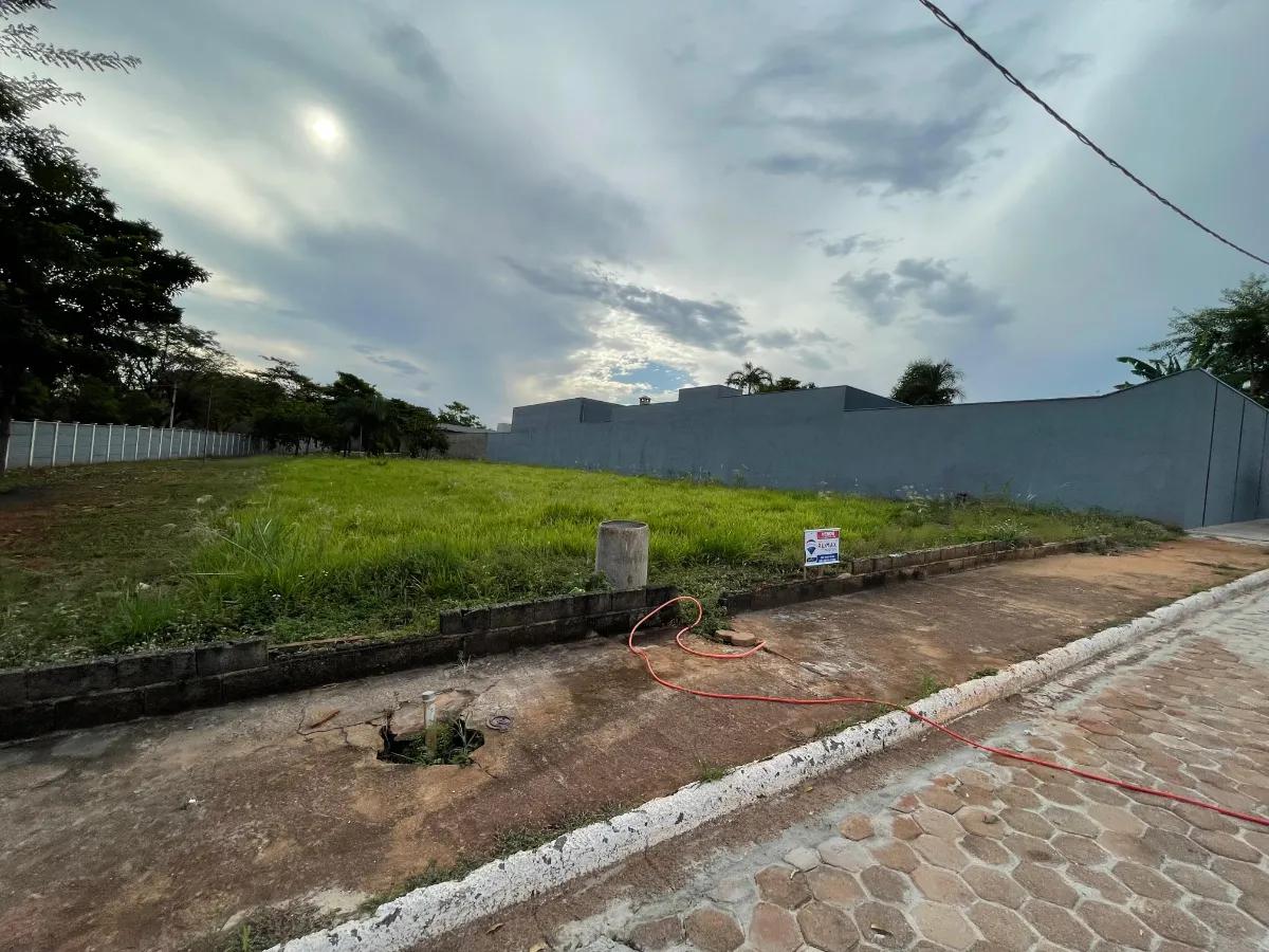Imagem 3