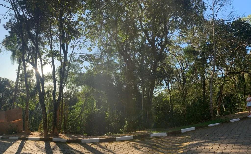 Imagem 6