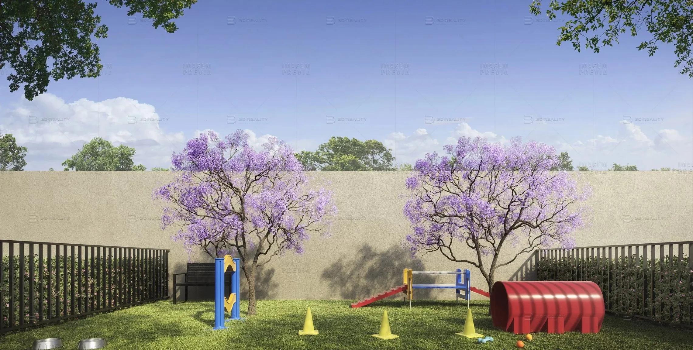 Imagem 13