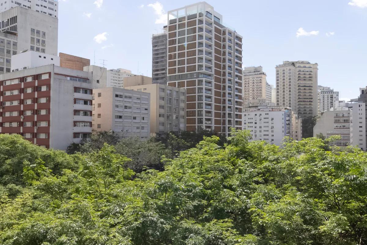 Imagem 20
