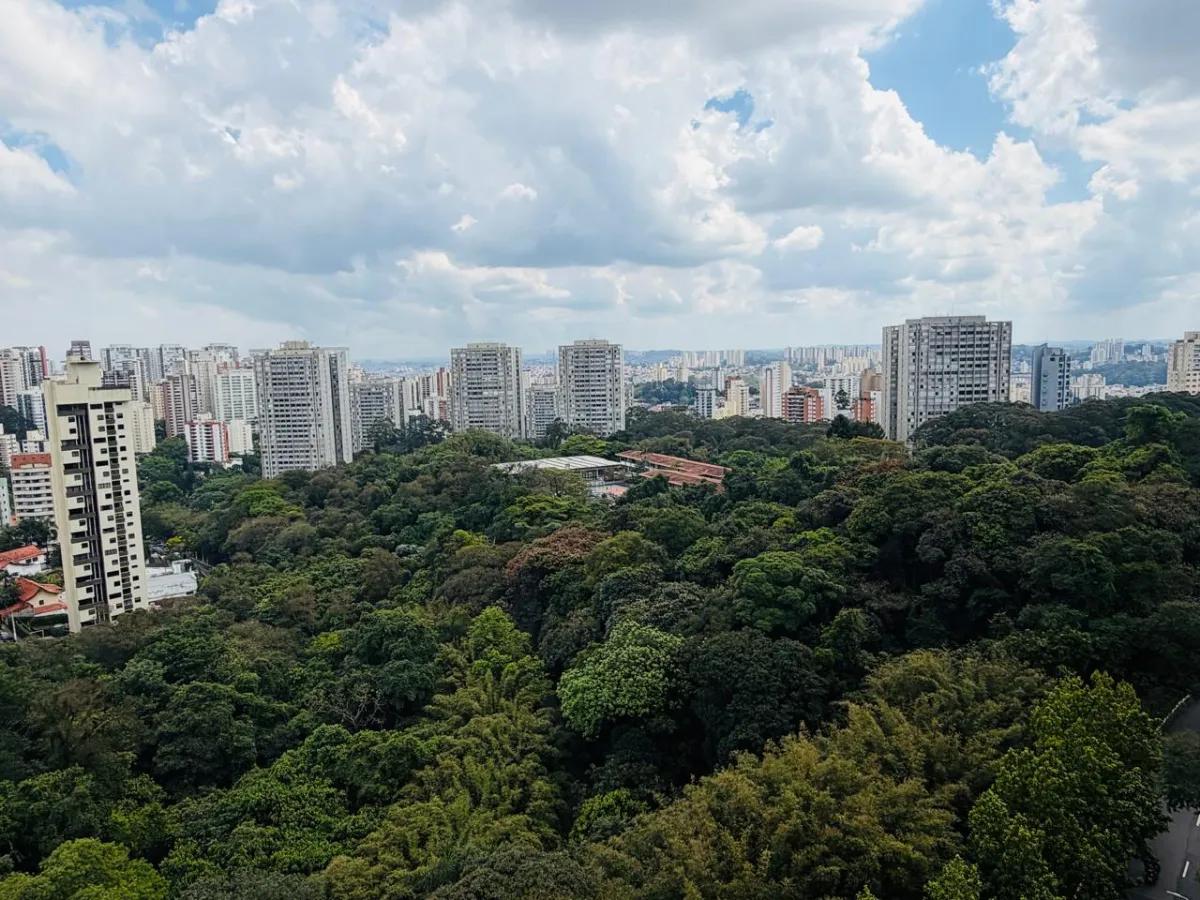 Imagem 2