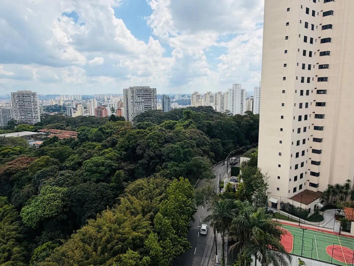 Imagem 3